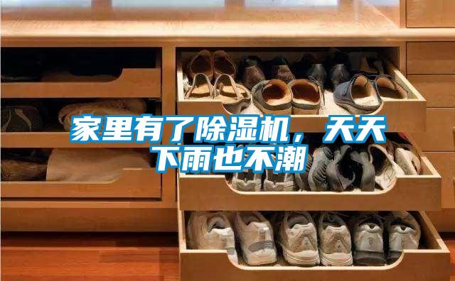 家里有了除濕機,天天下雨也不潮