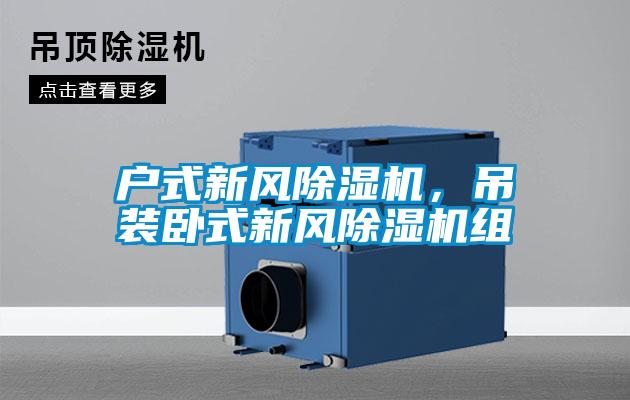 戶式新風除濕機，吊裝臥式新風除濕機組