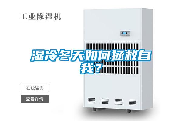 濕冷冬天如何拯救自我？