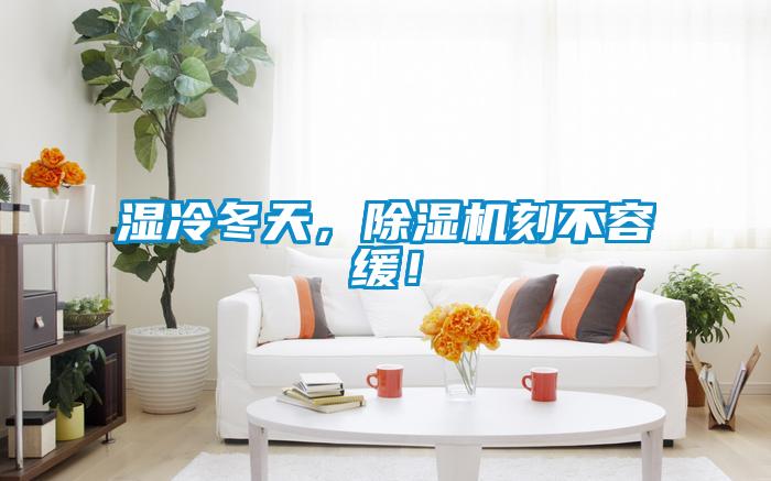 濕冷冬天,除濕機(jī)刻不容緩!