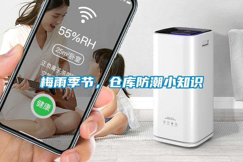 梅雨季節,倉庫防潮小知識