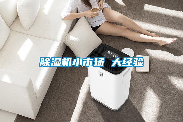 除濕機小市場 大經驗