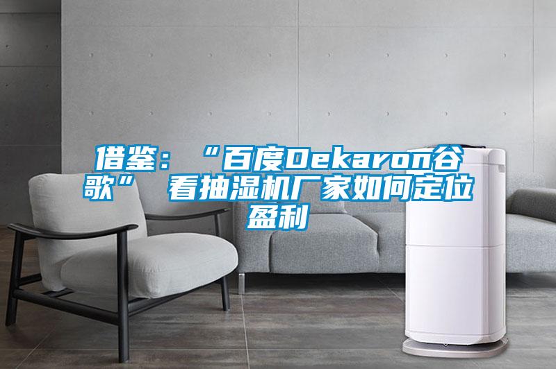 借鑒:“百度Dekaron谷歌” 看抽濕機廠家如何定位盈利