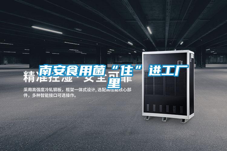 南安食用菌“住”進工廠里