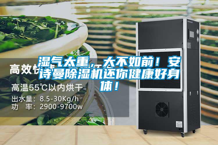 濕氣太重,大不如前!安詩曼除濕機還你健康好身體!