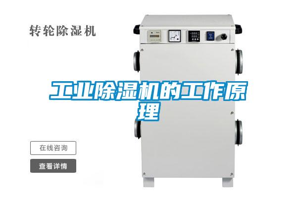 工業除濕機的工作原理