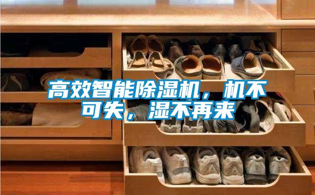 高效智能除濕機,機不可失,濕不再來
