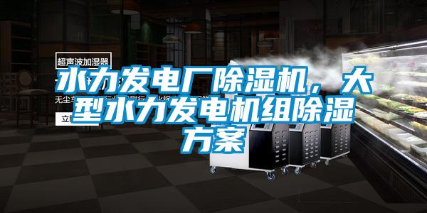 水力發電廠除濕機，大型水力發電機組除濕方案