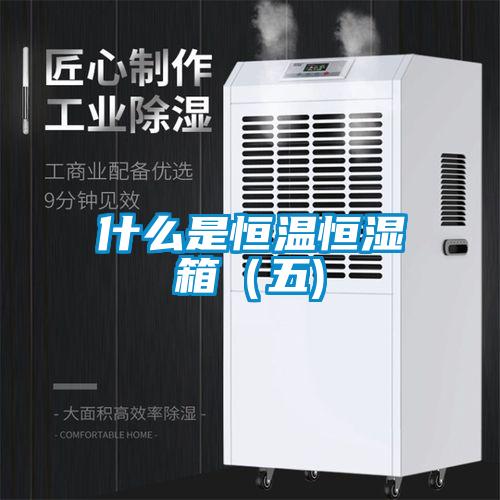 什么是恒溫恒濕箱(五)