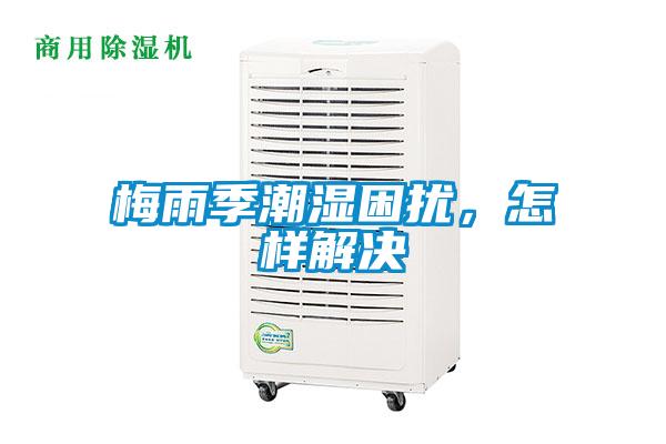 梅雨季潮濕困擾,怎樣解決