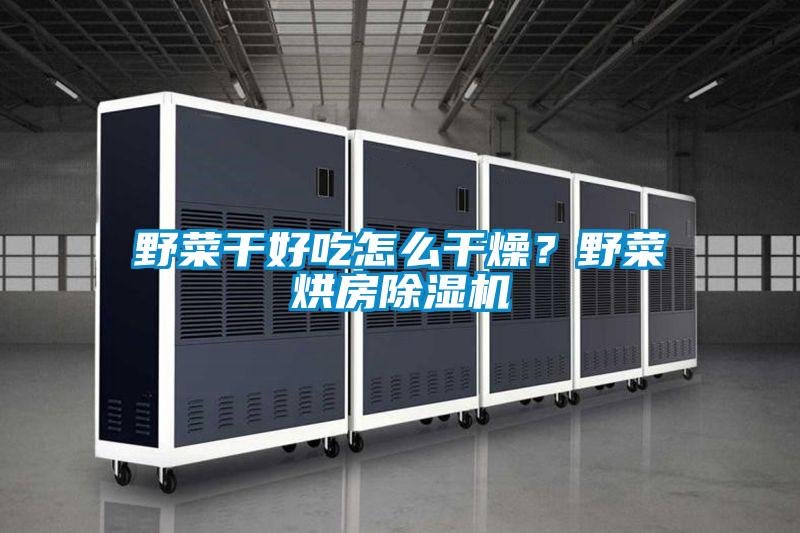 野菜干好吃怎么干燥?野菜烘房除濕機
