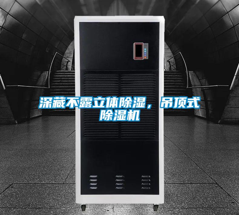 深藏不露立體除濕,吊頂式除濕機(jī)