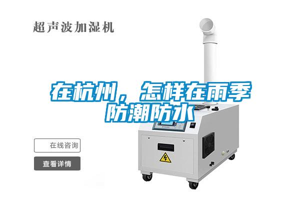 在杭州,怎樣在雨季防潮防水
