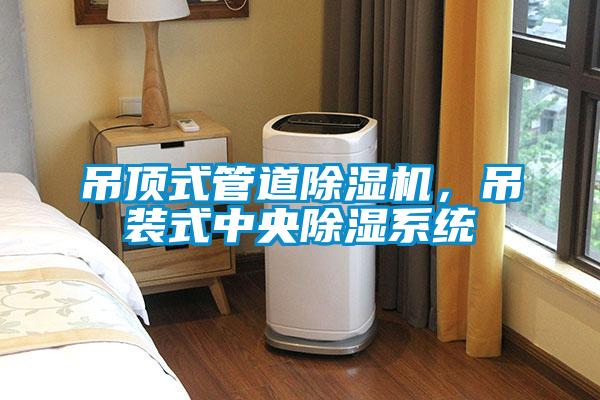 吊頂式管道除濕機,吊裝式中央除濕系統
