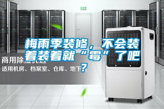 梅雨季裝修，不會裝著裝著就“霉”了吧？