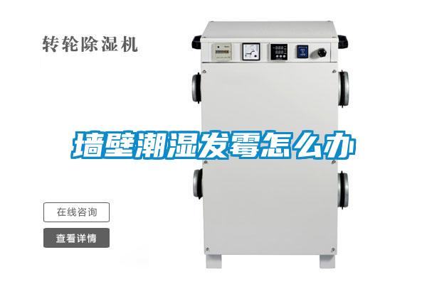 墻壁潮濕發霉怎么辦