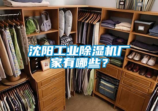 沈陽工業除濕機廠家有哪些?