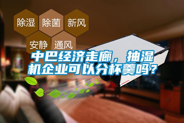 中巴經濟走廊，抽濕機企業可以分杯羹嗎？
