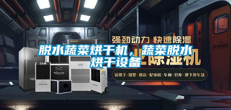 脫水蔬菜烘干機,蔬菜脫水烘干設備