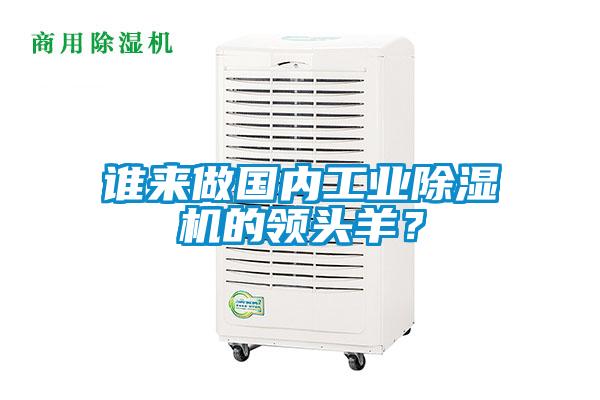 誰來做國內工業除濕機的領頭羊?