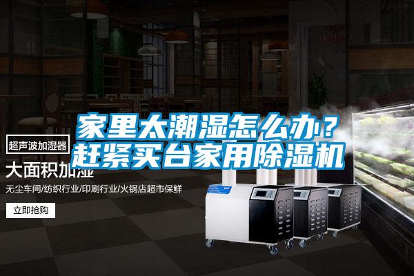 家里太潮濕怎么辦？趕緊買臺家用除濕機