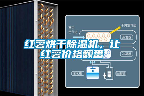 紅薯烘干除濕機,讓紅薯價格翻番