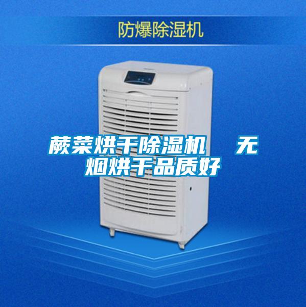 蕨菜烘干除濕機 無煙烘干品質好