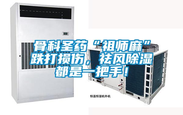 骨科圣藥“祖師麻”跌打損傷,祛風除濕都是一把手!