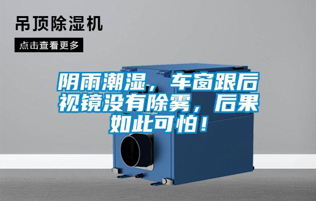 陰雨潮濕，車窗跟后視鏡沒有除霧，后果如此可怕！