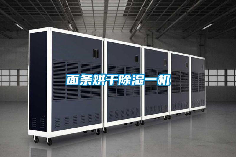 面條烘干除濕一機