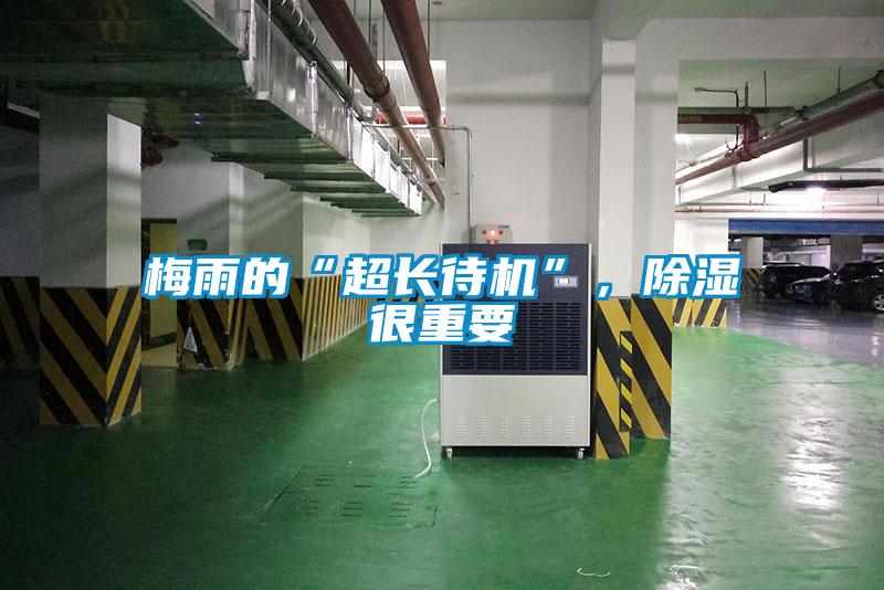 梅雨的“超長(zhǎng)待機(jī)”，除濕很重要