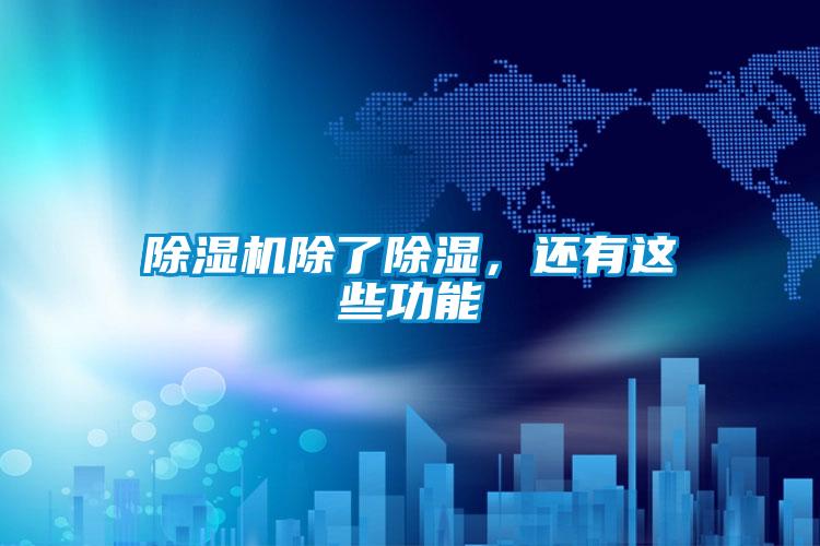 除濕機(jī)除了除濕,還有這些功能