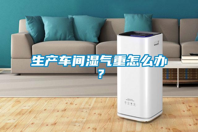 生產(chǎn)車(chē)間濕氣重怎么辦？