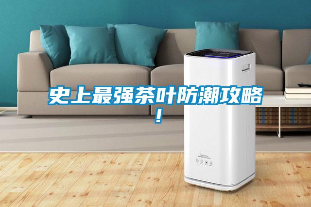 史上最強茶葉防潮攻略!