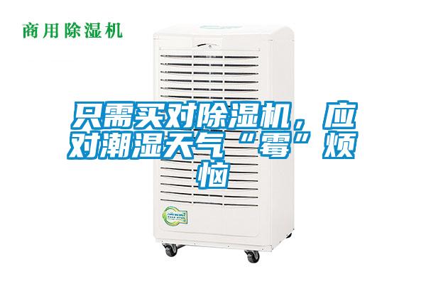 只需買對除濕機,應對潮濕天氣“霉”煩惱