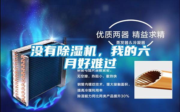 沒有除濕機，我的六月好難過