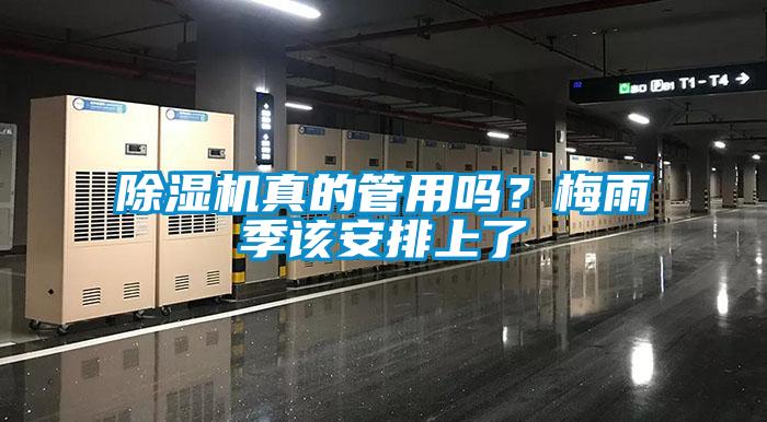 除濕機(jī)真的管用嗎?梅雨季該安排上了