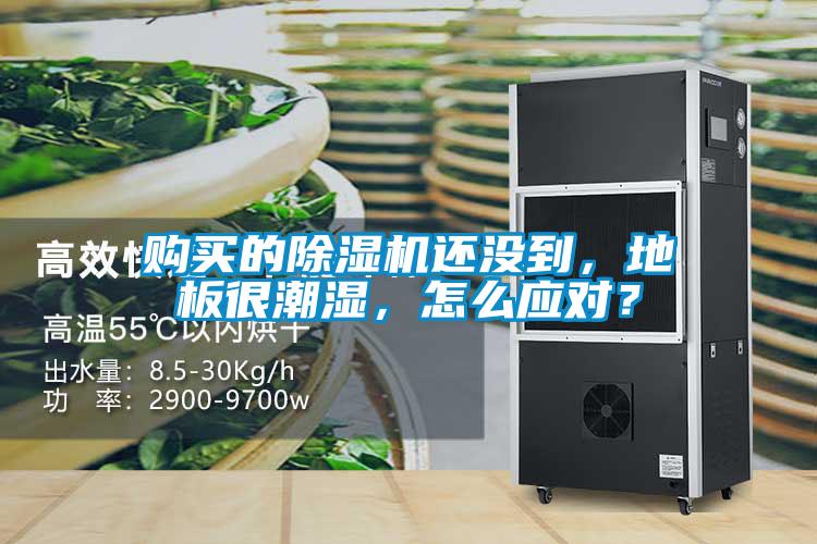 購(gòu)買的除濕機(jī)還沒(méi)到,地板很潮濕,怎么應(yīng)對(duì)?