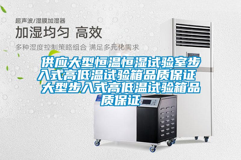 供應大型恒溫恒濕試驗室步入式高低溫試驗箱品質保證 大型步入式高低溫試驗箱品質保證