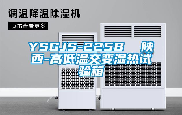 YSGJS-225B  陜西-高低溫交變濕熱試驗(yàn)箱