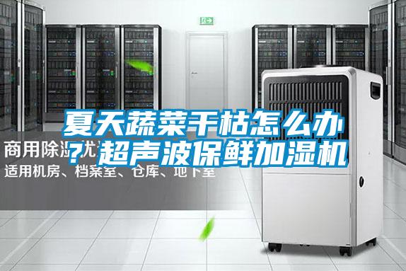 夏天蔬菜干枯怎么辦？超聲波保鮮加濕機