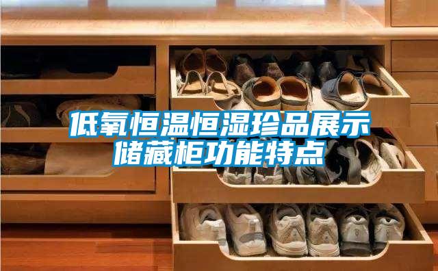 低氧恒溫恒濕珍品展示儲藏柜功能特點(diǎn)