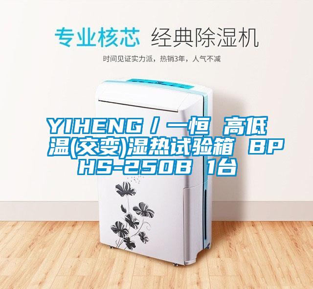 YIHENG/一恒 高低溫(交變)濕熱試驗箱 BPHS-250B 1臺