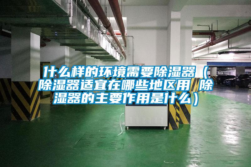 什么樣的環境需要除濕器（除濕器適宜在哪些地區用 除濕器的主要作用是什么）