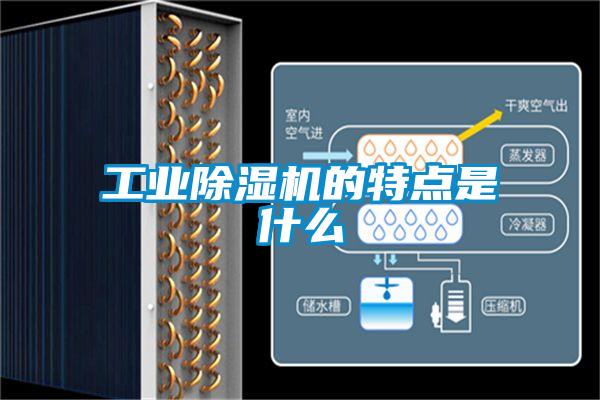 工業除濕機的特點是什么