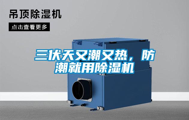 三伏天又潮又熱，防潮就用除濕機(jī)