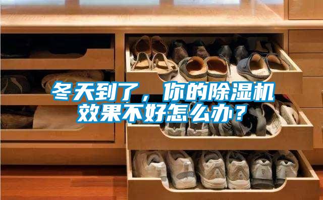 冬天到了，你的除濕機效果不好怎么辦？