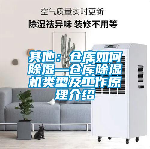 其他:倉(cāng)庫(kù)如何除濕—倉(cāng)庫(kù)除濕機(jī)類型及工作原理介紹