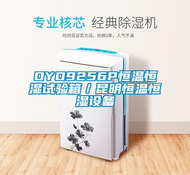 OYO9256P恒溫恒濕試驗(yàn)箱/昆明恒溫恒濕設(shè)備