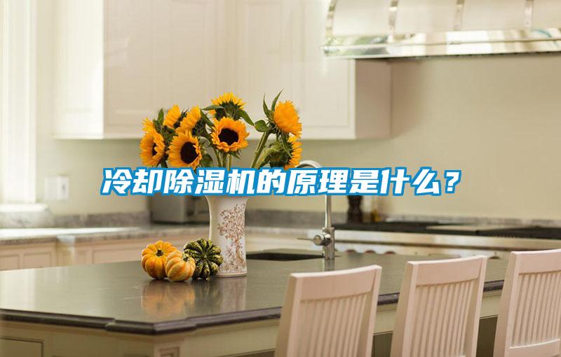 冷卻除濕機的原理是什么?